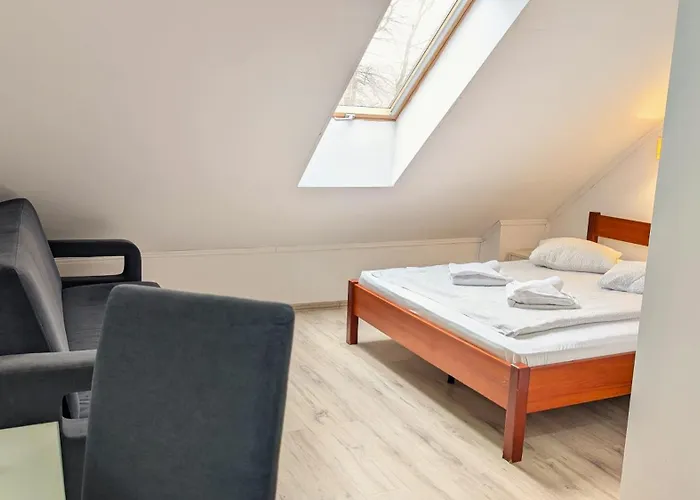 酒店 Dwor Gorny 3*